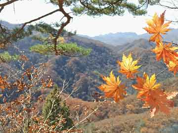 大写数字壹贰叁肆到拾的写法